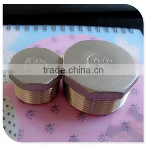 Cast Ss316 Pipe Fitting Npt Hex Plug thumbnail-1