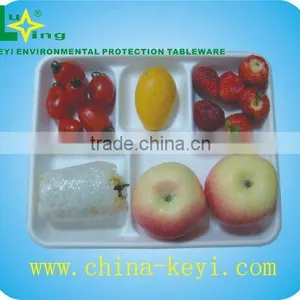 Lunch Tray thumbnail-1