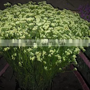 Colorful Hot Sale Yellow Flower Real Touch Myosotis thumbnail-1