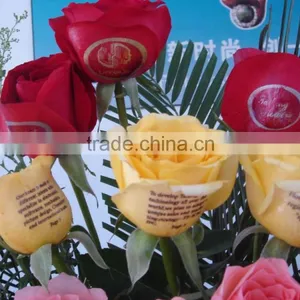 Best Selling Flower Printer for Sale thumbnail-6