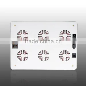 Hydroponic System 1200w Led Grow Light thumbnail-4