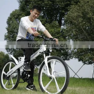 Hot Sale EN 15194 Electric Bicycle With Motor Front Mag Wheel thumbnail-4