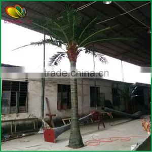 SUS Hot Selling Fake Coconut Tree thumbnail-6
