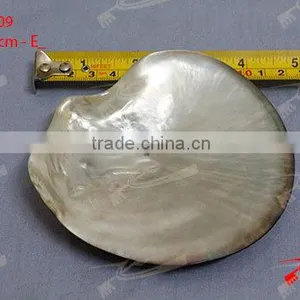 Shell / MOP Plate thumbnail-2