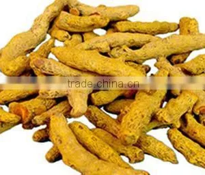 Turmeric thumbnail-1