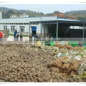 Haccp Konjac Noodles thumbnail-5