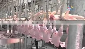 Steel Structure Chicken Slaughter House thumbnail-1