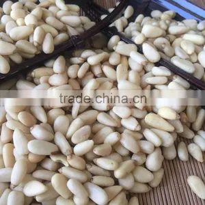 New Crop Chinese Pinenut Kernels thumbnail-2