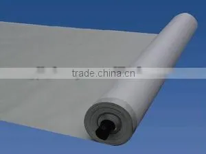 Reinforced Polyvinyl Chloride Waterproof Membrane thumbnail-1