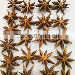 Star Aniseeds of Rain Before thumbnail-1