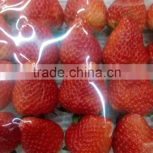 Fresh Strawberry thumbnail-2