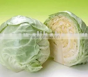 Cabbage thumbnail-1