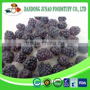 Bulk Frozen A Grade Blackberry Fruit thumbnail-1
