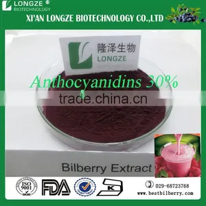 100% Natural Bilberry Extract Dried Fruit Powder With 25% Anthocyanidins Medicine Use thumbnail-1