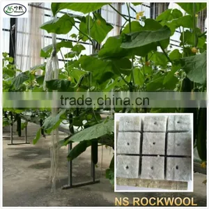 Rock Wool Cubes for Seed Starting thumbnail-2