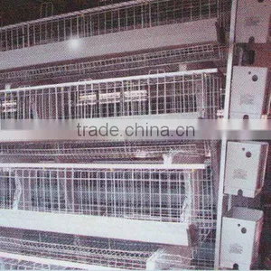 Anping Factory Manufacturer of Chicken Breeding Coop Cage Welded Chicken Cage Wire Mesh thumbnail-6