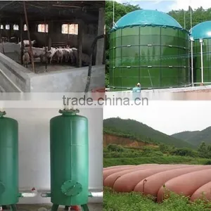 Hot Sale Biogas Plant Equipment/ Biogas Scrubber/ Biogas Storage Bag/ Biogas Holder/ Biogas Storage Tank/ Biogas Generator thumbnail-1