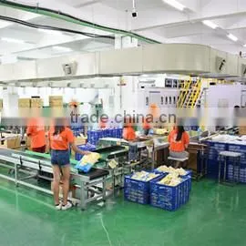Fujian Ruqiya Sanitary Products Co., Ltd. company overview - view 3 thumbnail