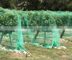 Fruit Tree Netting Promises Big Delicious Fruits thumbnail-1