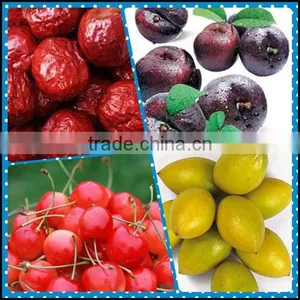 Plum Pit Remove Machine thumbnail-1