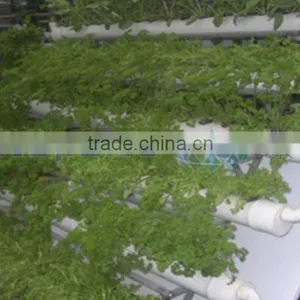 A Type Hydroponic Shelf for Agricultural Greenhouse Sale thumbnail-1