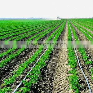 Irrigation Dripper Better Quality Than Eurodrip Inline Flat Dripper Type Water Irrigation Pipe Making Machine thumbnail-1