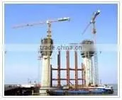 P300(SCM)tower Crane thumbnail-1