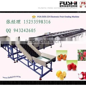 High Quality Apple and Orange Washing Waxing and Sorting Machine thumbnail-1