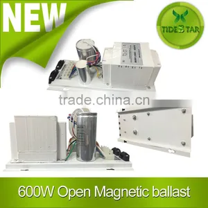 Hydroponics Grow Light Ballast 600w/open 600w Magnetic Ballast thumbnail-1