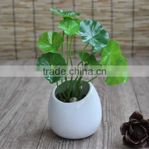Desktop or Hanging Simple Decoration Succulent Pot Ceramic Planter thumbnail-3