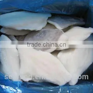 Frozen John Dory Fillets Skin On/off thumbnail-1