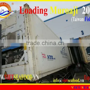 LOADING MUROAJI FOR TUNA BAIT thumbnail-1