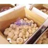 Chinese White Garlic thumbnail-1