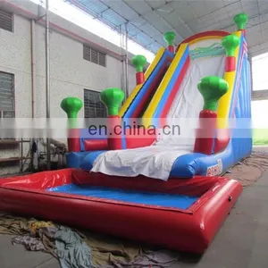 Professional Park Slides Slip n Giant Inflatable Water Slide for Adult Made in China thumbnail-3