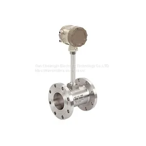 Turbine Flow Meter thumbnail-1