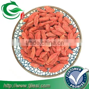Dried Goji Berry thumbnail-1