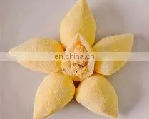 Automatic Coxinha Making Machine Forming and Encrusting Machine thumbnail-5