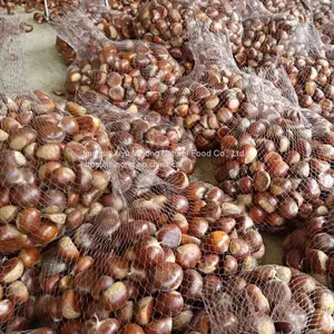 Chestnuts Organic Gourmet Roasted Chestnuts Chinese Chestnut thumbnail-1