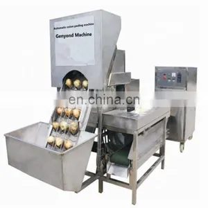 Dehydrated Red Onion Powder Processing Plant thumbnail-2