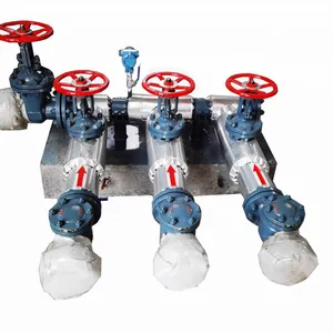 Multi-well Valve Group Skid （Parameter Customization） thumbnail-4