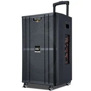12-inch Outdoor Party Subwoofer With Bluetooth thumbnail-3
