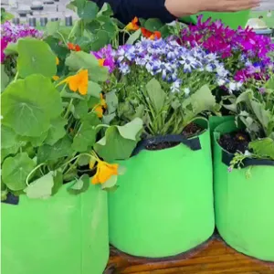 Durable Plant Grow Bags With Handles for Outdoor Gardening thumbnail-5
