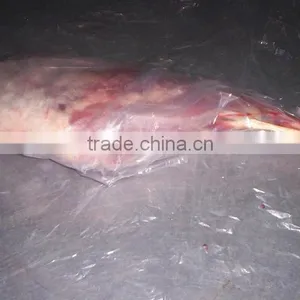 Goat Meat/mutton/lamb Meat thumbnail-6