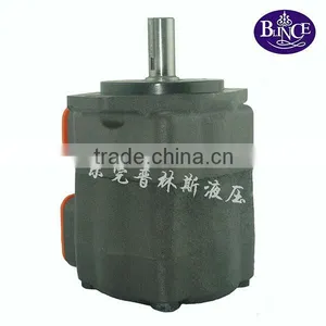 China Blince V Seires Hydraulic Crane Vane Pump thumbnail-5