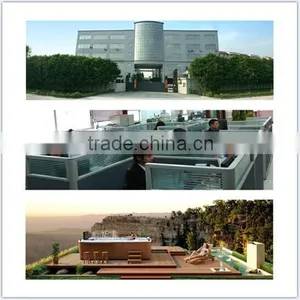 Balboa Swim Spa 2014 Hot Sale Acrylic Swimming Pool thumbnail-6