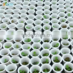 Growing Pot thumbnail-1