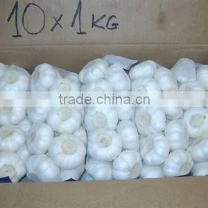 2016 Pure White Garlic 3P/4P/5P/ in 10kg Carton thumbnail-6