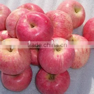 Chinese Fresh Sweet Fuji Apple With Good Quality thumbnail-4