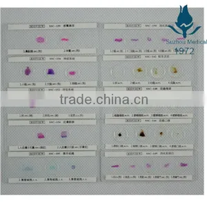Microscope Slides With 4 Specimen on 1 Slide thumbnail-1