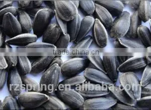 BLACK SUNFLOWER SEEDS thumbnail-5